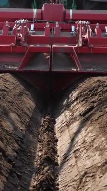 Yakın plan, makineleşmiş patates ekme işlemi. Özel teçhizatlı büyük traktör, uzun düz üst sıraları, çizgileri, tepecikleri, yeni ekilmiş patatesleri, ekilen siyah toprak tarlasında, bahar günü, ekim mevsiminde.