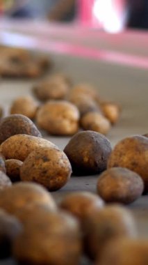 yakın çekim, Patates özel konveyör makine bant hareket ve bir depolama odasına sığacak, kış depolama için bir depo. patates hasadı, mahsul