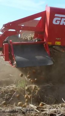 Patatesleri tarlada patates hasadıyla hasat eden çiftlik makineleri. Otomatik tarım teknolojisi, gıda endüstrisi üretimi, tarım kavramı