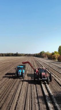 Patates hasadı sırasında tarlada makine kullanmak. Patates toplama makinesi patates topluyor, hasadı bir kamyonun arkasına boşaltıyor. Ilık sonbahar günü.