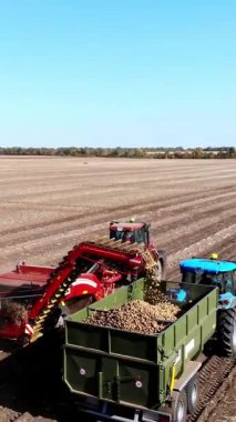 Patates hasadı sırasında tarlada makine kullanmak. Patates toplama makinesi patates topluyor, hasadı bir kamyonun arkasına boşaltıyor. Ilık sonbahar günü.