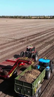 Patates hasadı sırasında tarlada makine kullanmak. Patates toplama makinesi patates topluyor, hasadı bir kamyonun arkasına boşaltıyor. Ilık sonbahar günü.