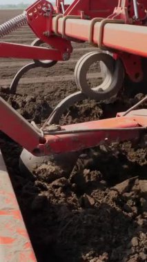 Yakın plan, çiftçi otomatikman tarladaki düz toprak sıralarına patates eker, daha iyi patates büyümesi için toprağa mineral gübresi ekler. Modern tarım. Bahar güneşli gün