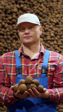 Çiftçi patates deposunun arka planında bir avuç dolusu patates yumrusu tutuyor. Patates hasadı, tarım, tarım, gıda endüstrisi.