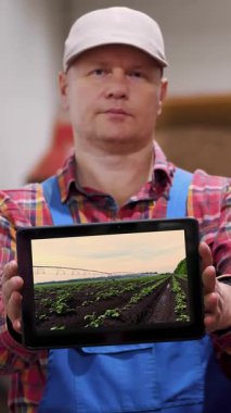 Patates deposunda, elinde dijital tablet bulunan çiftçi, filizlenmiş patateslerle dolu çiftlik tarlasını gösteriyor. tarım, tarım, gıda endüstrisi, hasat,