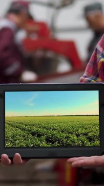 Patates deposunda, elinde dijital tablet bulunan çiftçi, elinde taze patates çalıları olan çiftlik arazisini gösteriyor. tarım, tarım, gıda endüstrisi, hasat,