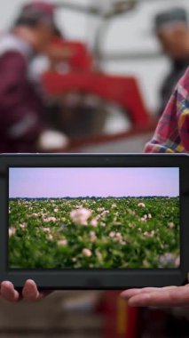 Patates deposunda, elinde dijital tablet bulunan çiftçi, elinde taze patates çalıları olan çiftlik arazisini gösteriyor. tarım, tarım, gıda endüstrisi, hasat,