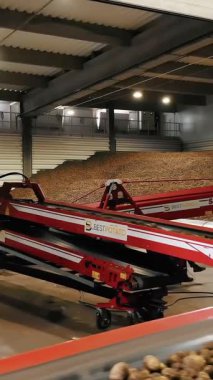 CHERKASSY, UKRAINE, 24 Eylül 2021: depoda patates deposu. Özel nakliye ekipmanları patatesleri depoya, depoya teslim ediyor. gıda endüstrisi