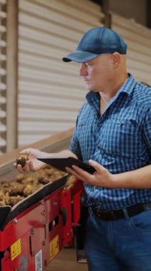 Patates hasadı. Çiftçi dijital tablet kullanıyor. Arkaplanda, taze koparılmış patatesler taşıma bandında hareket ediyor. Otomatik tarım. tarım teknolojileri