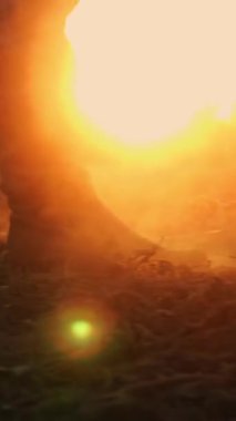 Çizmeli çiftçi tarlada yürüyor. Yakın plan. Çiftçilik botları içinde bacaklar. Tozlu, toprak. Gün batımında arka ışıklandırma. Taze sürülmüş tarım arazisi. Alt görünüm