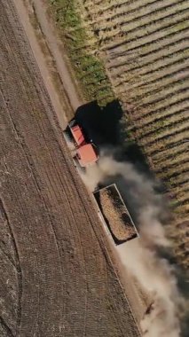 Patates hasadı. Patatesli kamyon. Traktör, yeni hasat edilmiş patateslerle dolu bir karavanla, tozlu, toprak bir yolda, tarımsal bir tarladan geçiyor..