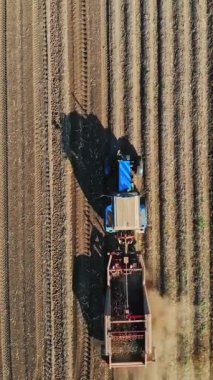 Patates hasadı. Çiftlik makineleri, patates hasatçısı, çiftlik arazisinde patates topluyor. Anten, üst manzara. Akıllı çiftçilik.