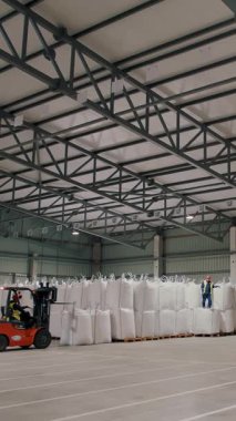Tarım deposu. Depo. Torbalar dolusu mısır tohumu, tahıl. Mısır tohumları için büyük bir depo üretim, satın alma ve satışa hazırlık.