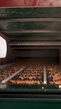 Mısır. Yakın plan. Taşıyıcı banttaki soyulmuş mısır koçanları. İşlem fabrikasındaki mısır tohumu temizleme hattı. Tarım işi. Mısır işleme fabrikası. Tarım.