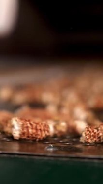 Mısır. Yakın plan. Taşıyıcı banttaki soyulmuş mısır koçanları. İşlem fabrikasındaki mısır tohumu temizleme hattı. Tarım işi. Mısır işleme fabrikası. Tarım.