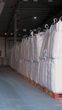 Tarım deposu. Depo. Torbalar dolusu mısır tohumu, tahıl. Tohum tedarik ve depolama için büyük bir tarım işletmesi deposu