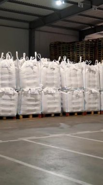 Tarım deposu. Depo. Torbalar dolusu mısır tohumu, tahıl. Tohum tedarik ve depolama için büyük bir tarım işletmesi deposu