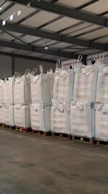 Tarım deposu. Depo. Torbalar dolusu mısır tohumu, tahıl. Tohum tedarik ve depolama için büyük bir tarım işletmesi deposu