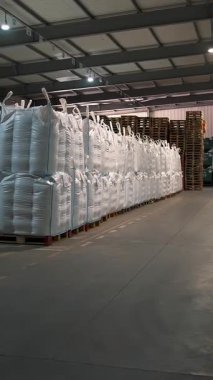 Tarım deposu. Depo. Torbalar dolusu mısır tohumu, tahıl. Tohum tedarik ve depolama için büyük bir tarım işletmesi deposu