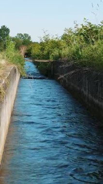 Kırsal bölgede yemyeşil yemyeşil ile çevrili Su Kanalı
