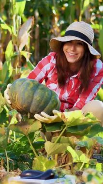 komik, ekose gömlek, eldiven ve şapka onu sebze Bahçe, alan teftiş güneşli yaz gününde büyük balkabağı kadar öldürmeye kadın çiftçi gülümseyerek. büyüyen mısır arka plan