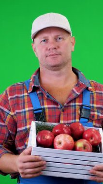 gülümseyen bir ahşap kutu kırmızı olgun organik elma ile tutarak yakışıklı erkek çiftçi portresi. Studio yeşil arka plan üzerinde. Tablonuza sağlıklı gıda