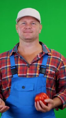 Ekose gömlekli ve şapkalı gülümseyen erkek çiftçi güzel bir biber tutuyor, oynuyor, atıyor, Chromakey 'in üzerine, yeşil arka planda. Masanıza sağlıklı yemek konsepti