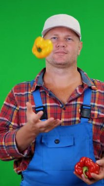 ekose gömlek ve şapka gülümseyen erkek çiftçi tatlı biber, oynamak, onları, Chromakey, yeşil arka plana atar tutar. tablonuza sağlıklı gıda kavramı