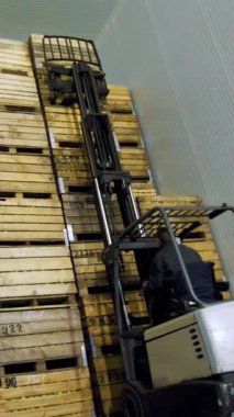 Özel makine, yükleyici, forklift kamyon özel depo depoda büyük ahşap kutuları üst üste, elmalı koyar