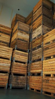 Elma deposu. Depo. Meyve için tahta sandıklar, soğuk depolama deposunda elma dolu kutular. Kocaman, havasız bir buzdolabı kamerası. elma hasadı.