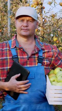 Elmalı çiftçi. Elma hasatı Tatmin olmuş erkek çiftçi, meyve sularıyla dolu elma bahçesinin arka planında, kutuda iyi elma hasadı gösteriyor. Sonbahar güneşli bir gün. Bahçe işleri..