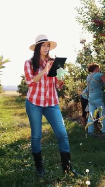 Elma hasadı. Tabletli çiftçi. Hasat teftişi. Kadın tarım uzmanı dijital tablet kullanıyor, işçiler meyve bahçesinden elma topluyor. Bahçıvanlıkta, çiftçilikte modern teknoloji. Tarım teknolojisi.