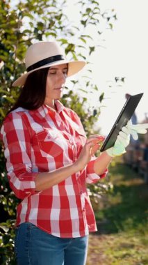 Elma hasadı. Tabletli çiftçi. Hasat teftişi. Kadın tarım uzmanı dijital tablet kullanıyor, işçiler meyve bahçesinden elma topluyor. Bahçıvanlıkta, çiftçilikte modern teknoloji. Tarım teknolojisi.