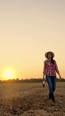 Çiftçi gün batımında yürüyor. Çiftçilik. Çiftçi silueti. Elinde dijital tabletle kadın çiftçi gün batımında ya da yükselen güneşte çim biçme tarlasında yürüyor. tarım tarım sektörü kavramı.