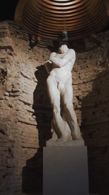 VENARIA, TURIN, ITALY, 11 Haziran 2023: Venaria Reale Sarayı 'ndaki Arkeoloji Müzesi. Dış Bahçe. Torino. Yüksek kalite 4k görüntü