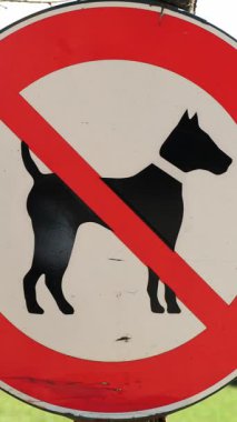Köpek gezdirmeye izin yok. Yürüyen bir patika. Yaz zamanı. Yüksek kalite 4k görüntü