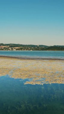 Güneşli bir yaz gününde dağlık arazide bir göl. - Evet. Yosun ve balık. Vahşi doğa.
