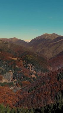 İtalya, Alpler 'de hava manzarası. Ağaç yapraklarının kırmızı, turuncu ve sarı tonlarını sergilediği sonbahar dağ manzarası.