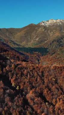 İtalya, Alpler 'de hava manzarası. Ağaç yapraklarının kırmızı, turuncu ve sarı tonlarını sergilediği sonbahar dağ manzarası.