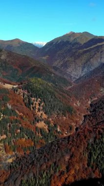 İtalya, Alpler 'de hava manzarası. Ağaç yapraklarının kırmızı, turuncu ve sarı tonlarını sergilediği sonbahar dağ manzarası.