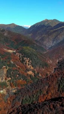 İtalya, Alpler 'de hava manzarası. Ağaç yapraklarının kırmızı, turuncu ve sarı tonlarını sergilediği sonbahar dağ manzarası.