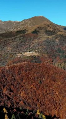 İtalya, Alpler 'de hava manzarası. Ağaç yapraklarının kırmızı, turuncu ve sarı tonlarını sergilediği sonbahar dağ manzarası.