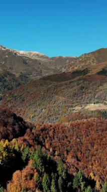 İtalya, Alpler 'de hava manzarası. Ağaç yapraklarının kırmızı, turuncu ve sarı tonlarını sergilediği sonbahar dağ manzarası.