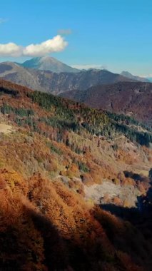 İtalya, Alpler 'de hava manzarası. Ağaç yapraklarının kırmızı, turuncu ve sarı tonlarını sergilediği sonbahar dağ manzarası.