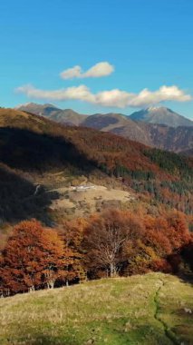 İtalya, Alpler 'de hava manzarası. Ağaç yapraklarının kırmızı, turuncu ve sarı tonlarını sergilediği sonbahar dağ manzarası.
