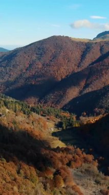 İtalya, Alpler 'de hava manzarası. Ağaç yapraklarının kırmızı, turuncu ve sarı tonlarını sergilediği sonbahar dağ manzarası.