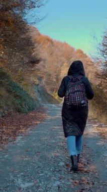 Dağlarda sonbahar. Bir kız, sırt çantalı bir yürüyüşçü, İtalya 'nın Alplerdeki sonbahar ormanlarında yürüyor. Aktif yaşam tarzı. Ağaç yapraklarının kırmızı, turuncu ve sarı tonlarını sergilediği sonbahar dağ manzarası.