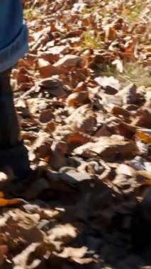 Botlu bir kadın sonbahar parkında yürüyor, Alplerdeki ormanda. Düşen yaprakların üzerinde yürüyen çizmeli kadın bacaklarının yakın çekimi..