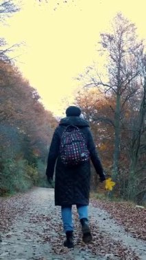 Dağlarda sonbahar. Bir kız, sırt çantalı bir yürüyüşçü, İtalya 'nın Alplerdeki sonbahar ormanlarında yürüyor. Aktif yaşam tarzı. Ağaç yapraklarının kırmızı, turuncu ve sarı tonlarını sergilediği sonbahar dağ manzarası.