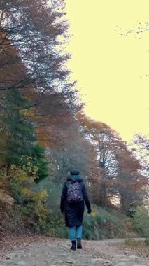 Dağlarda sonbahar. Bir kız, sırt çantalı bir yürüyüşçü, İtalya 'nın Alplerdeki sonbahar ormanlarında yürüyor. Aktif yaşam tarzı. Ağaç yapraklarının kırmızı, turuncu ve sarı tonlarını sergilediği sonbahar dağ manzarası.